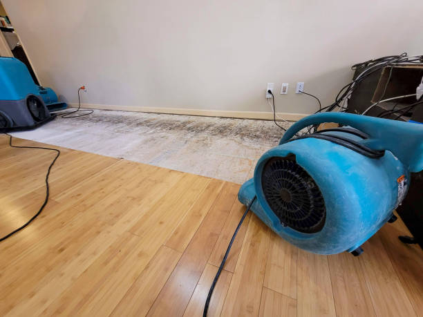 Professional Water Extraction technician working in Fairgrove, MI